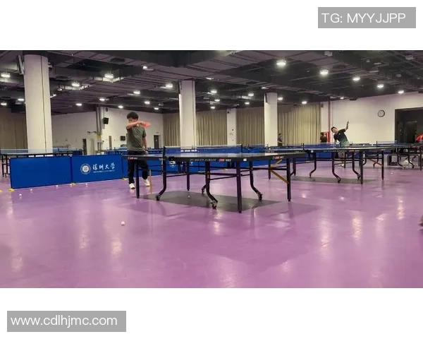 深圳乒乓球队个人能力分析与发展潜力探讨