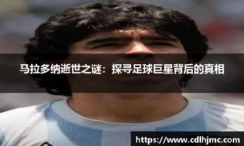 mk体育在线官网
