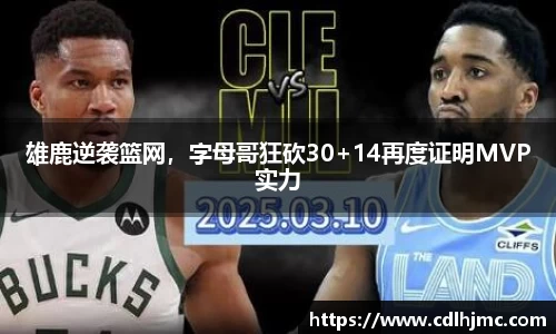 mk体育在线官网