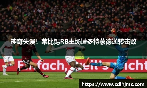 mk体育在线官网