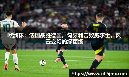 欧洲杯：法国战胜德国，匈牙利击败威尔士，风云变幻的绿茵场