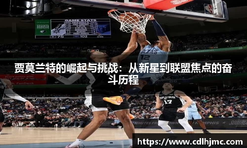 mk体育在线官网