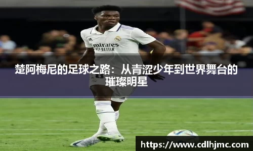 MK体育官网